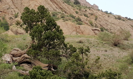 طبیعت اطراف دریاچه گهر 